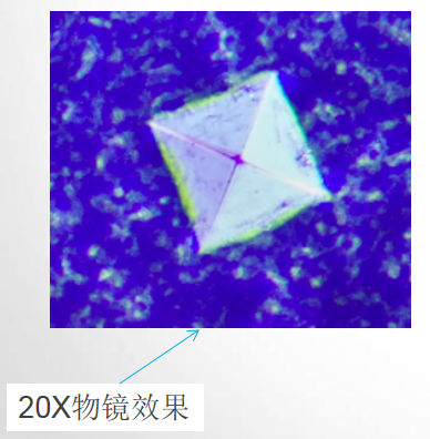 金相显微镜