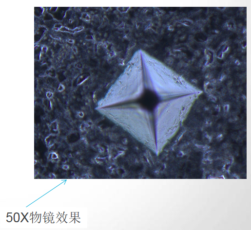 金相显微镜